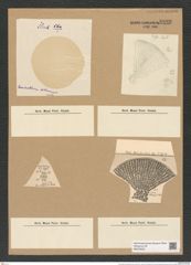 Coscinodiscus biharensis Pant. (de-Toni-Nr.: Genus 202, Species 5123) Zeichnungen Sammlung Grunow Nr. 8880 (NHMW-BOT-W0378525)